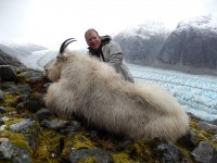 Mountain Goat 2014 - Mountain Goat 2014